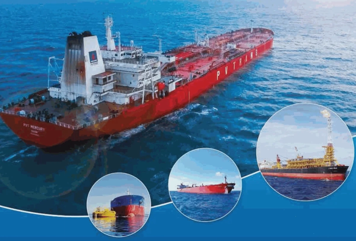 Biểu đồ giá PVT thể hiện sự biến động