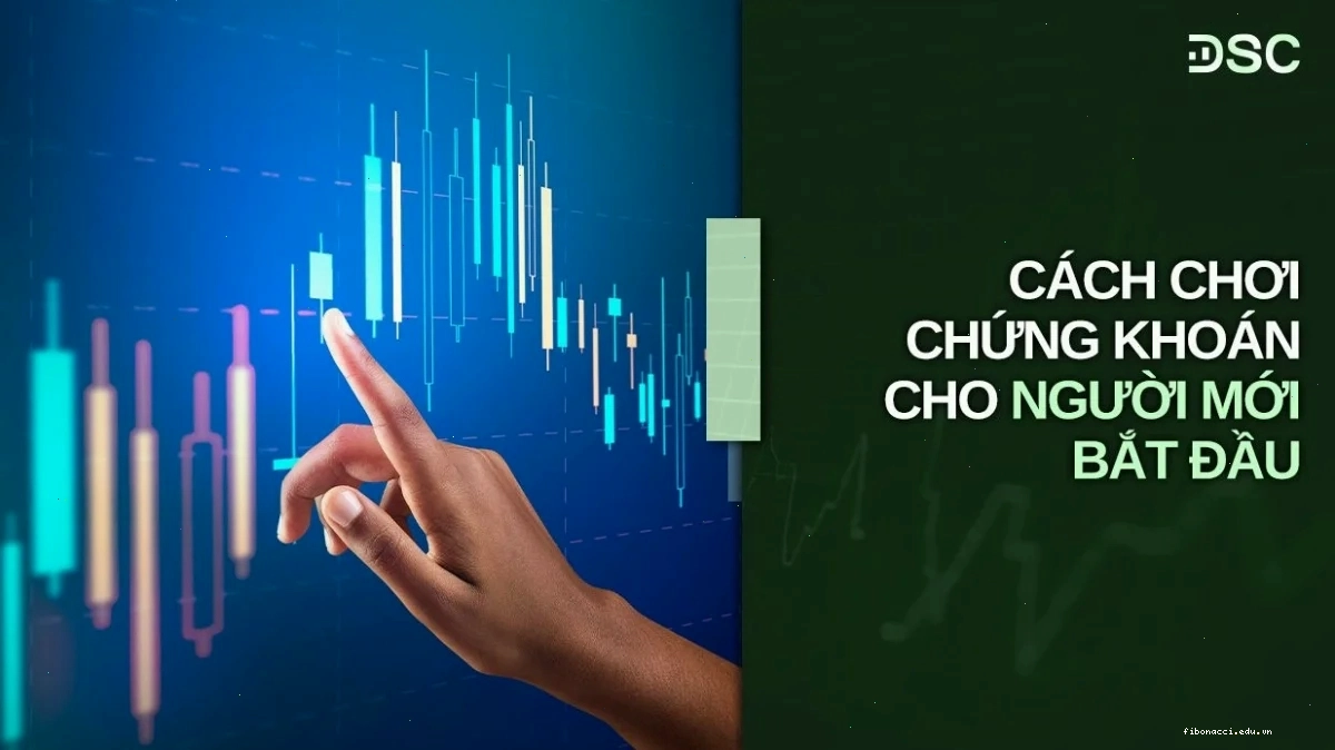 Biểu đồ minh họa rủi ro khi lạm dụng đòn bẩy trong cách chơi chứng khoán