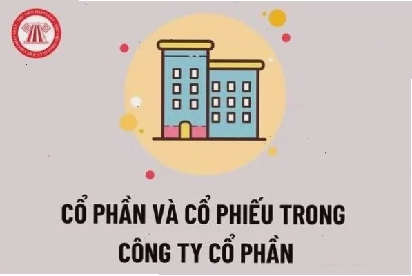 Biểu đồ minh họa sự khác biệt giữa cổ phần, cổ phiếu và trái phiếu