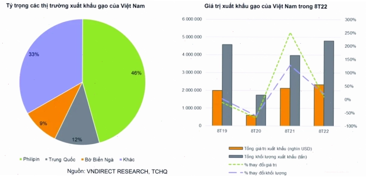 Biểu đồ phân tích tỷ suất lợi nhuận của các công ty lương thực