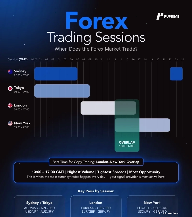 Biểu đồ rủi ro khi tham gia copy trade forex