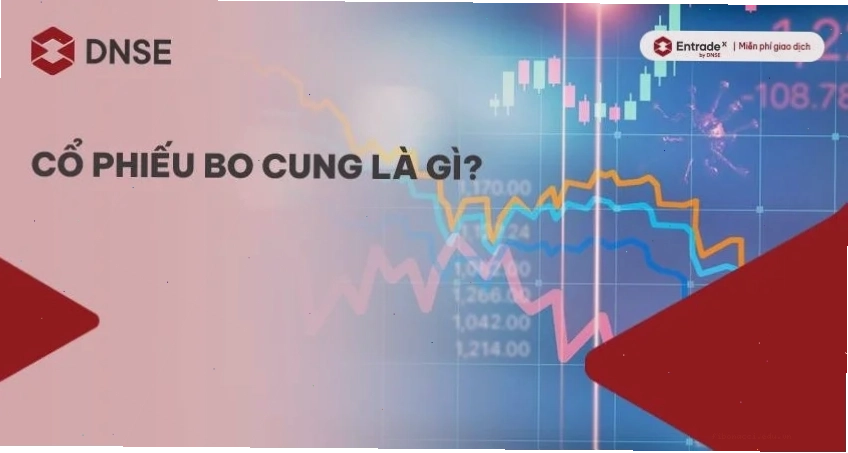 Biểu đồ so sánh cổ phiếu bo cung và thị trường chung