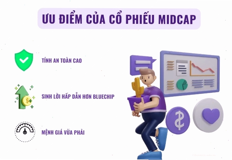 Biểu đồ so sánh vốn hóa thị trường của Bluechip, Midcap và Penny