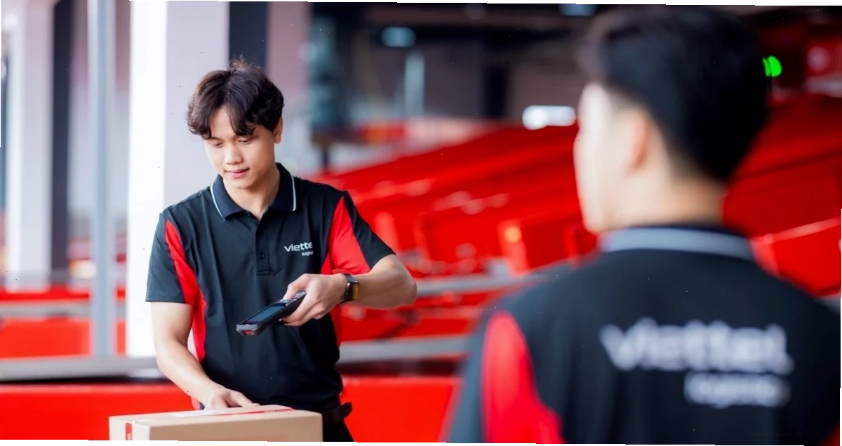 Biểu đồ so sánh VTP với ngành