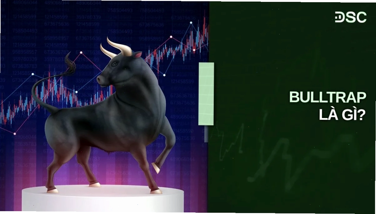 bull-trap-la-gi