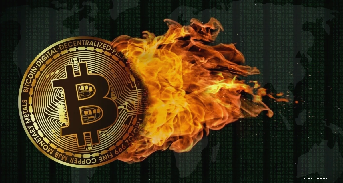 Burn coin la gi và những lầm tưởng