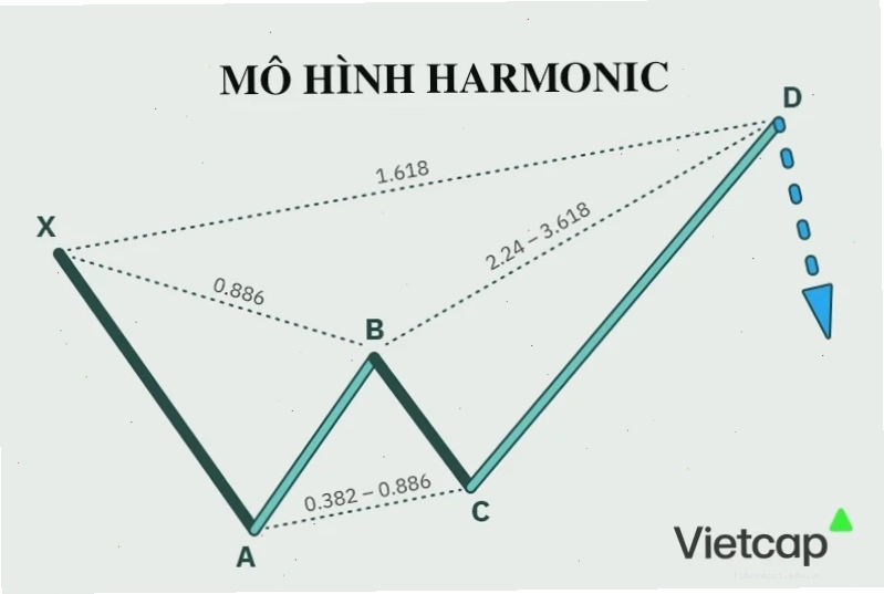 Các mô hình Harmonic khác nhau