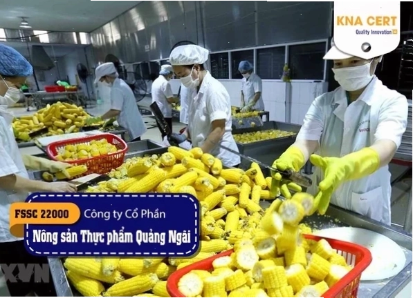 Cánh đồng lúa mì bao la tại Việt Nam