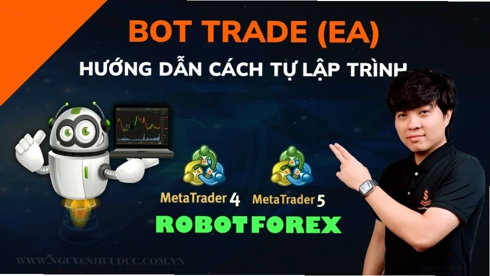 Cấu trúc code bot trade Forex