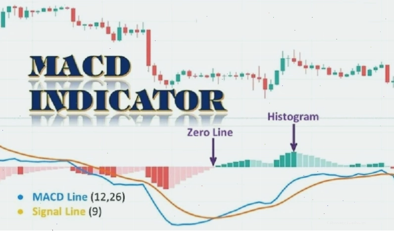 Chỉ báo MACD là gì trong phân tích kỹ thuật chứng khoán: Vai trò của Histogram