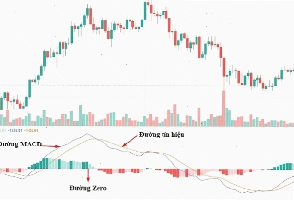 Chỉ số MACD là gì và cấu tạo chi tiết