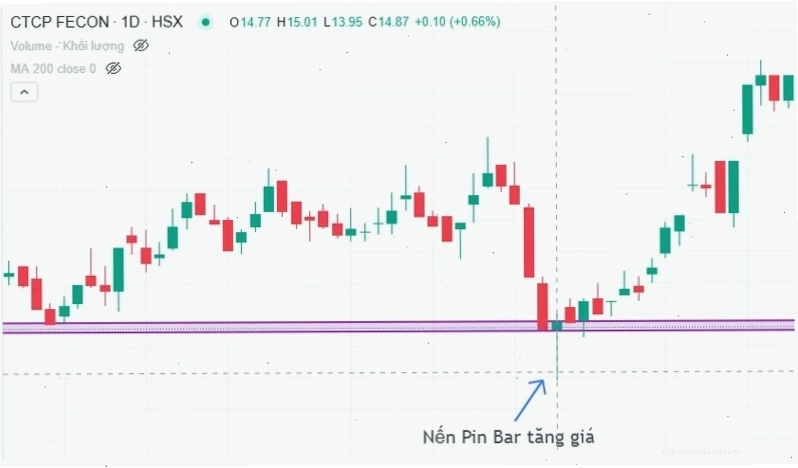 Chiến lược thuận xu hướng với Price Action