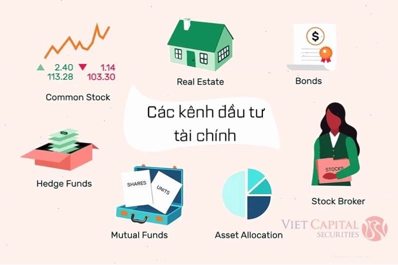 Chuyên gia đang tư vấn cho nhà đầu tư