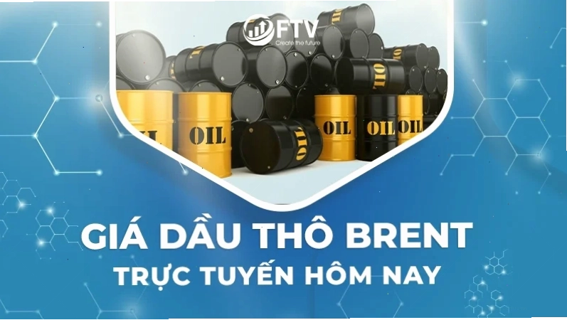 Cổ phiếu dầu khí Việt Nam