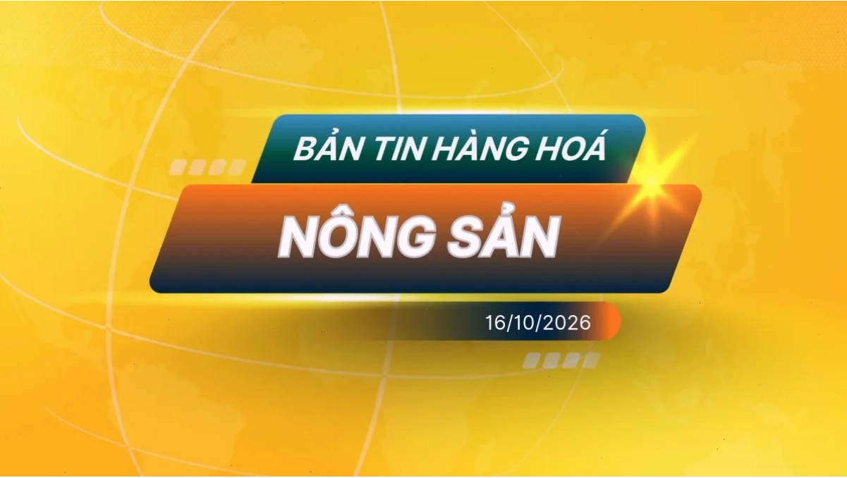 Điểm Tin Thị Trường Nông Sản Ngày 16/10/2026