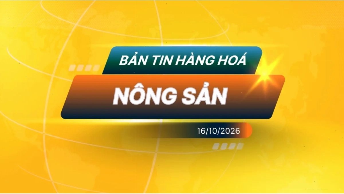Điểm Tin Thị Trường Nông Sản Ngày 16/10/2026