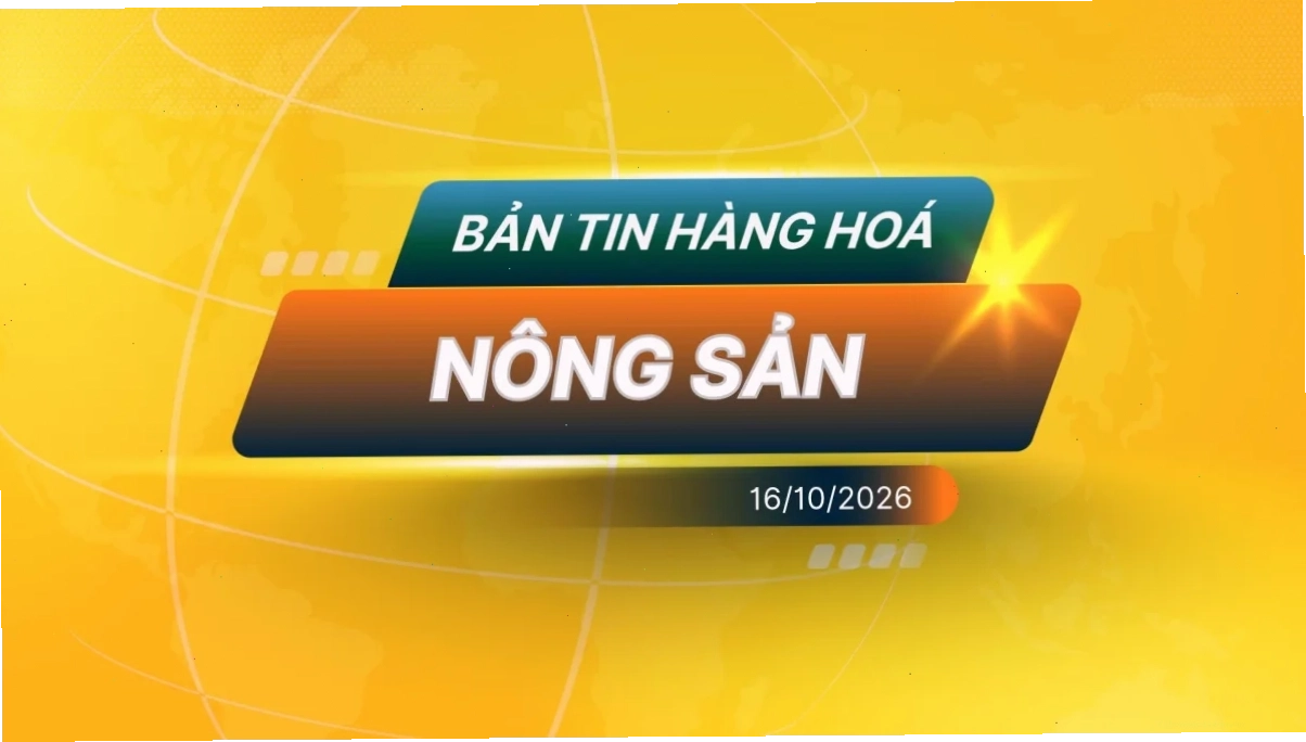 Điểm Tin Thị Trường Nông Sản Ngày 16/10/2026