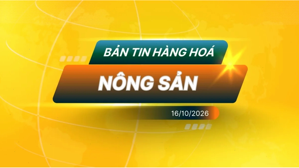 Điểm Tin Thị Trường Nông Sản Ngày 16/10/2026