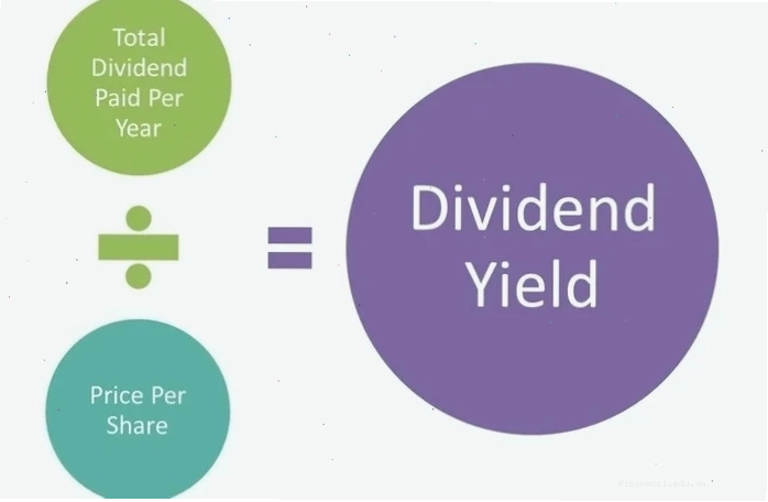 Dividend per share là gì và tầm quan trọng trong đầu tư