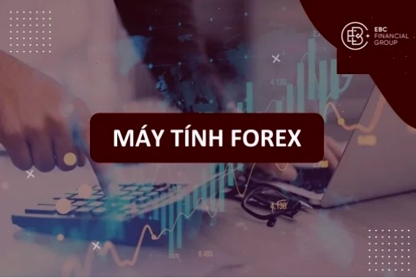 Đồ thị biến động giá forex minh họa rủi ro và cơ hội