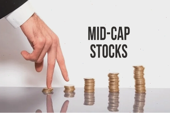 Đồ thị minh họa tiềm năng tăng trưởng của cổ phiếu Midcap so với Bluechip và Penny