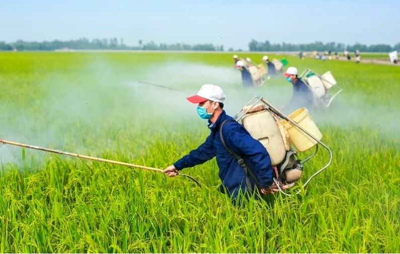 Đồ thị phân tích các yếu tố ảnh hưởng đến cổ phiếu ngành lương thực
