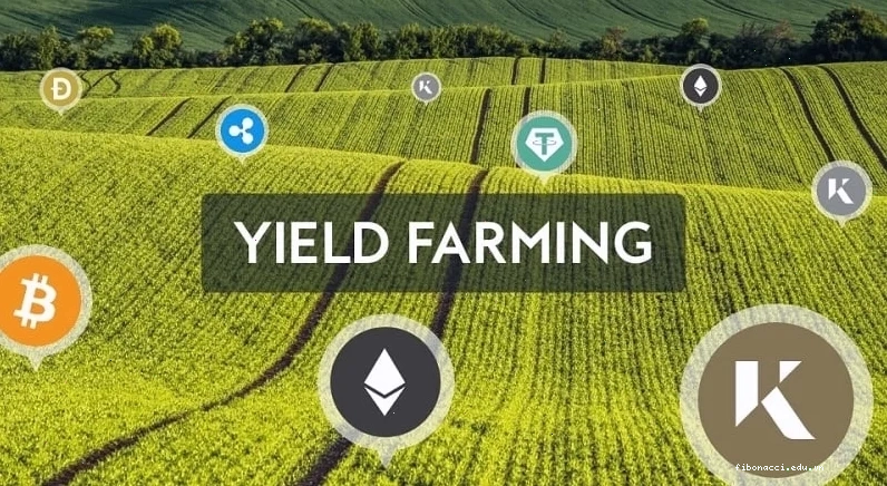 farm coin la gi và những điều cần biết