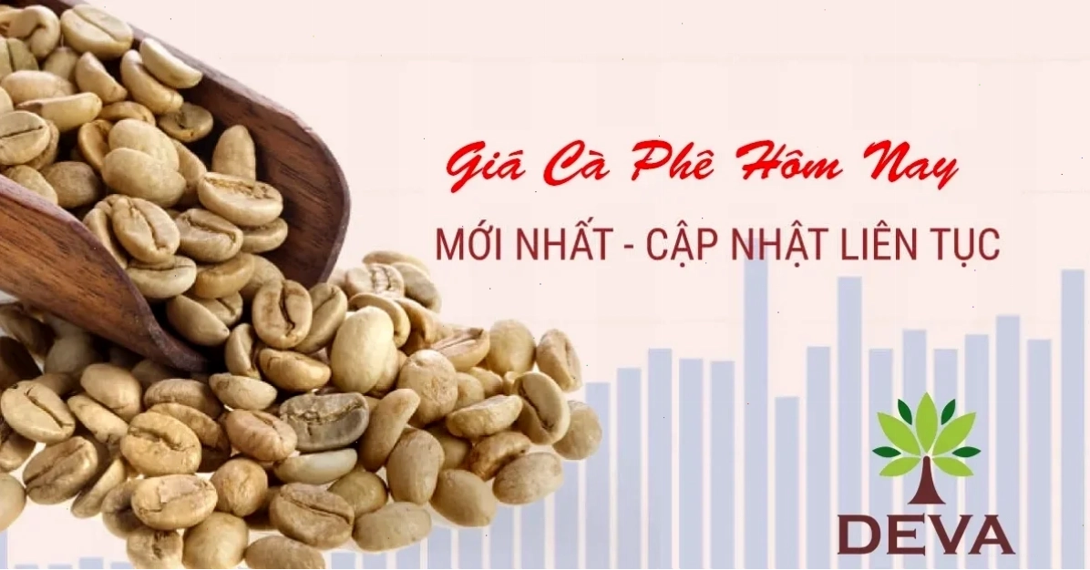 giá cà phê hôm nay tại deva
