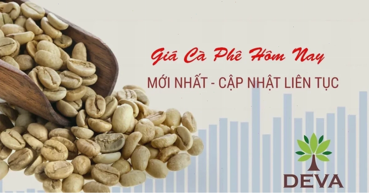 Giá cà phê hôm nay tại Deva đang biến động mạnh mẽ