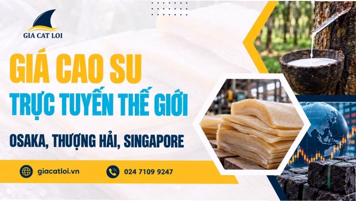 Giá Cao Su Trực Tuyến Hôm Nay – Biểu Đồ Giá Cao Su chi tiết