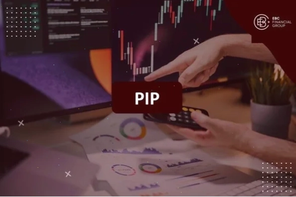 Giao diện ứng dụng Máy tính Pip Forex trên thiết bị di động