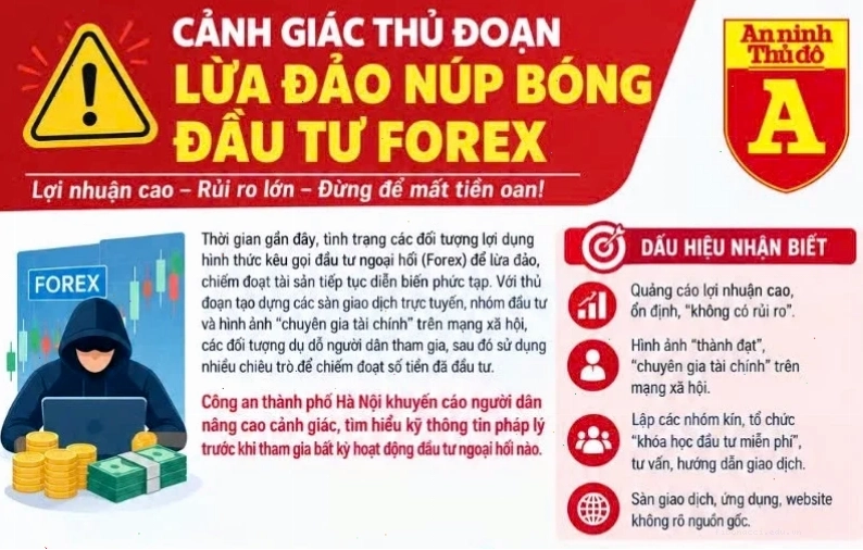 Hậu quả của việc đầu tư vào sàn forex không uy tín