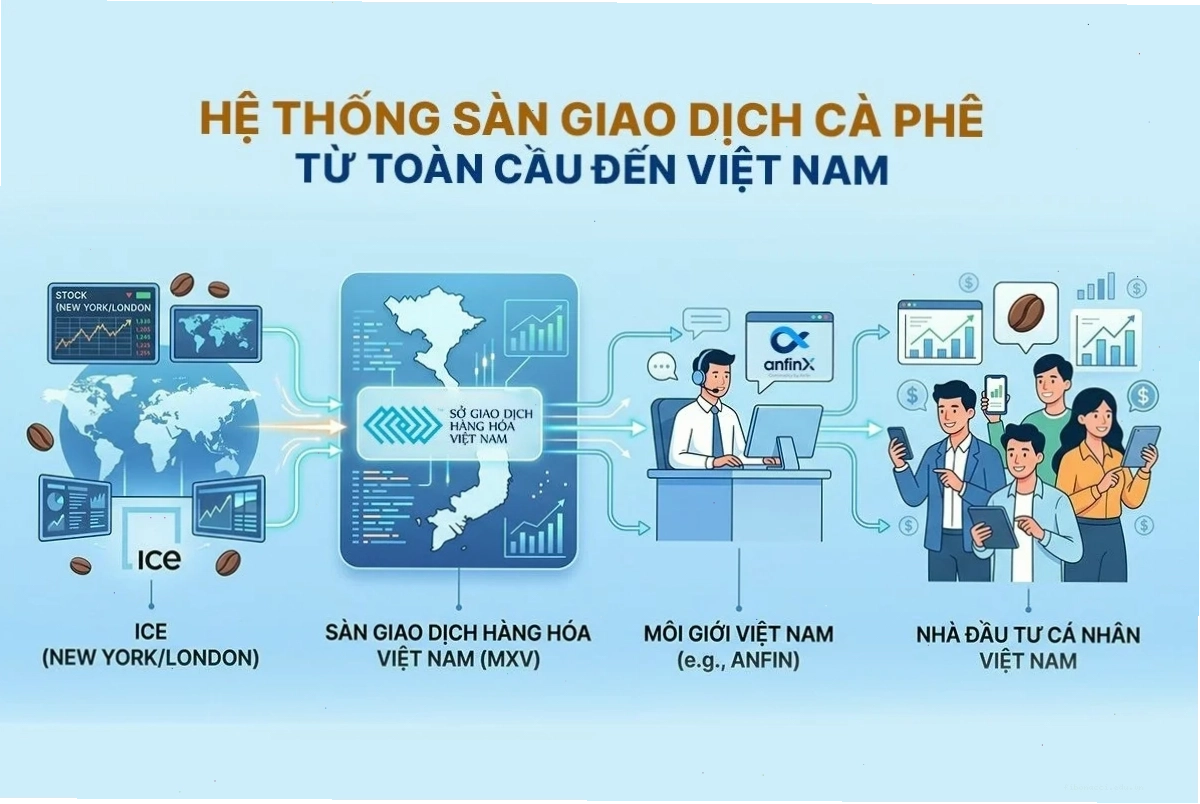Hệ thống sàn giao dịch cà phê từ toàn cầu đến Việt Nam