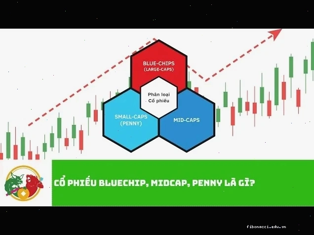 Hình ảnh thể hiện sự tăng trưởng ổn định của các công ty Midcap