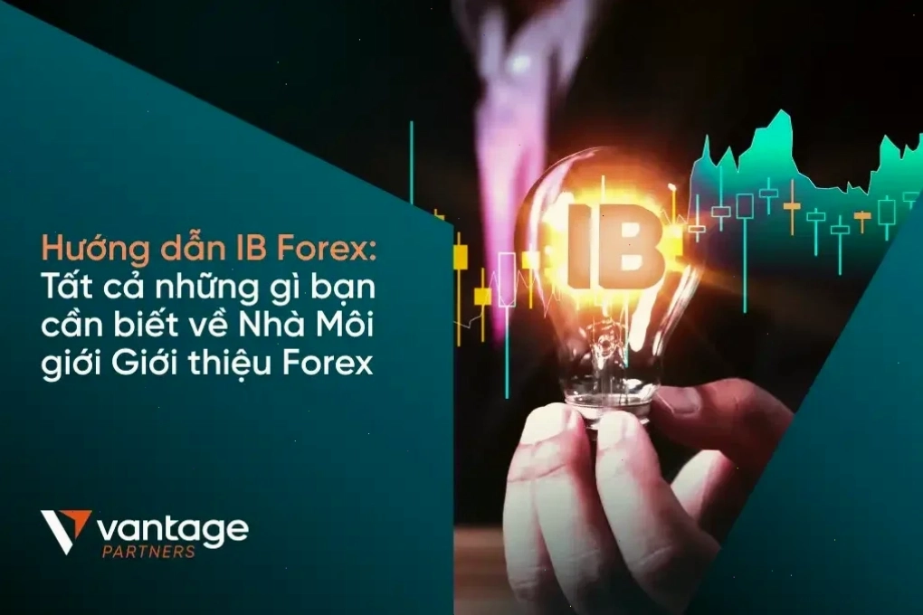 IB Forex cung cấp giá trị thực tế