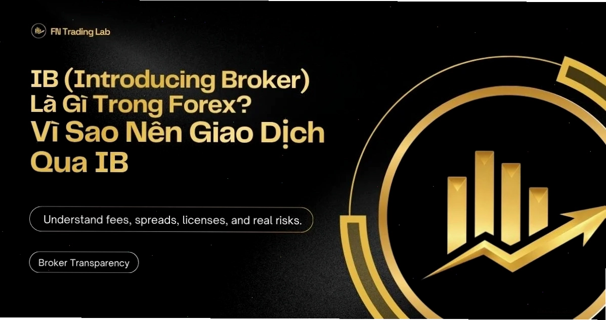 Ib trong forex là gì và lợi ích minh bạch