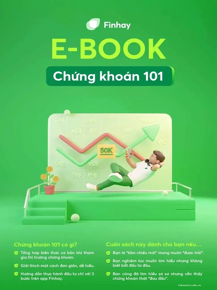 Kiến thức cơ bản về chứng khoán pdf về đòn bẩy tài chính