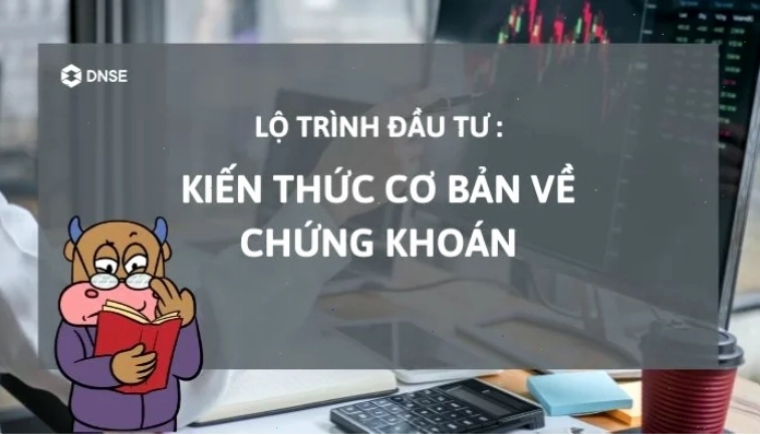 Kiến thức đầu tư chứng khoán: Đa dạng hóa danh mục