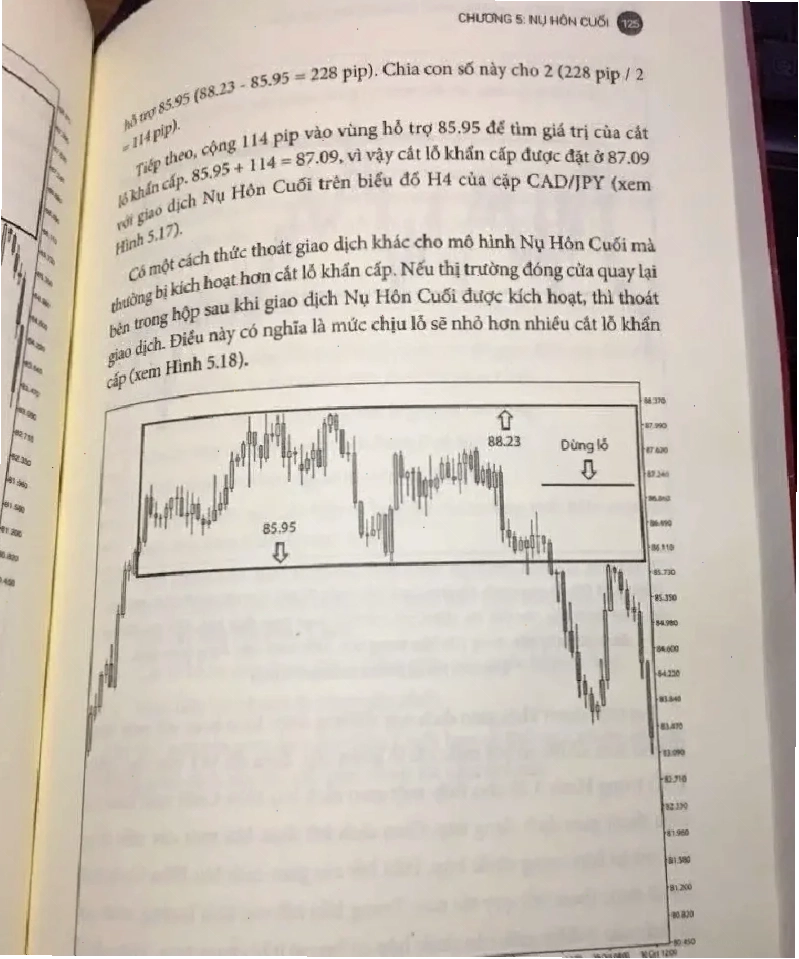 Kỷ luật và nhất quán trong giao dịch Price Action