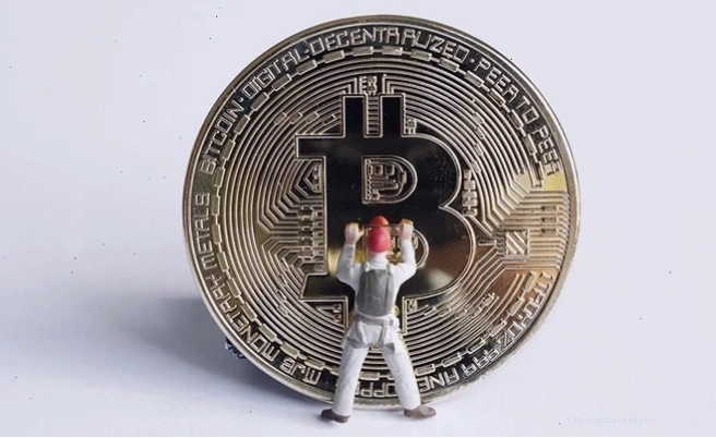 Lựa chọn coin để hold coin là gì tùy theo khẩu vị rủi ro