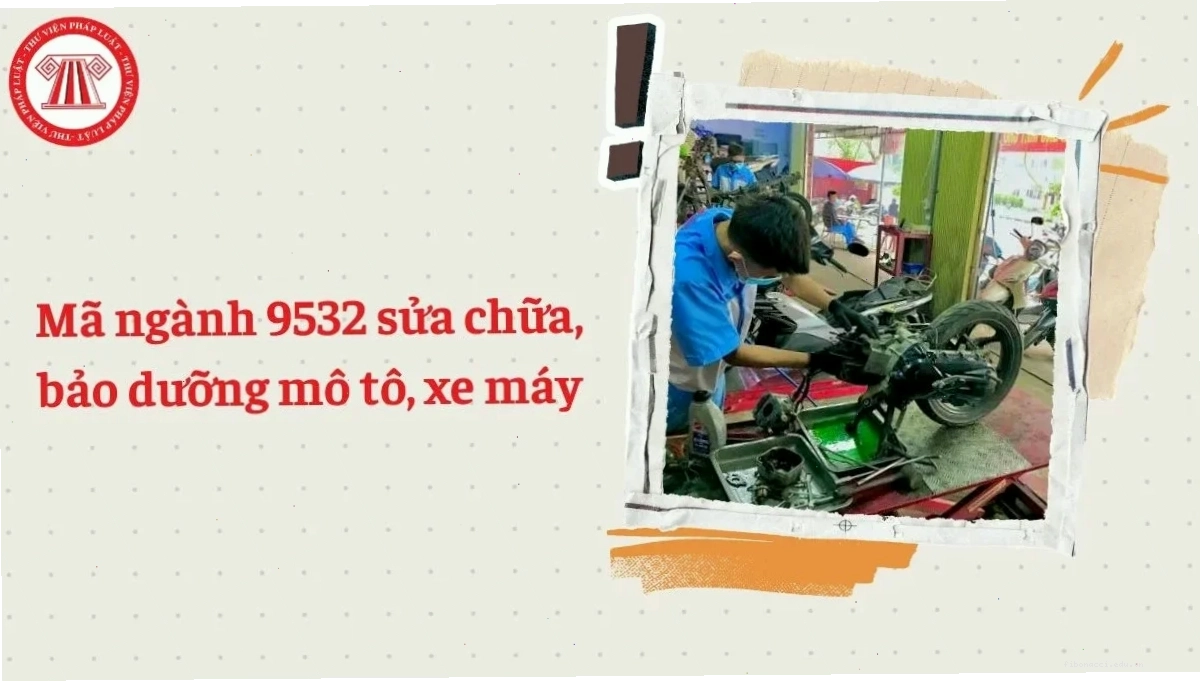Mã ngành 9532 là gì