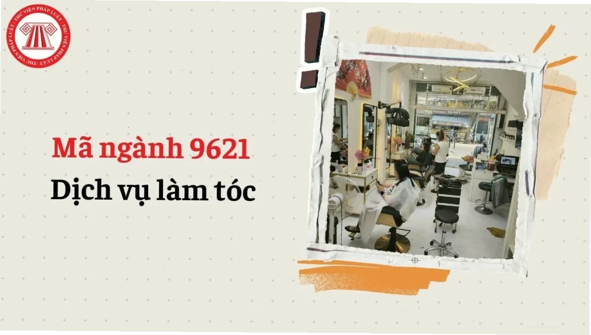 Mã ngành 9621 là gì