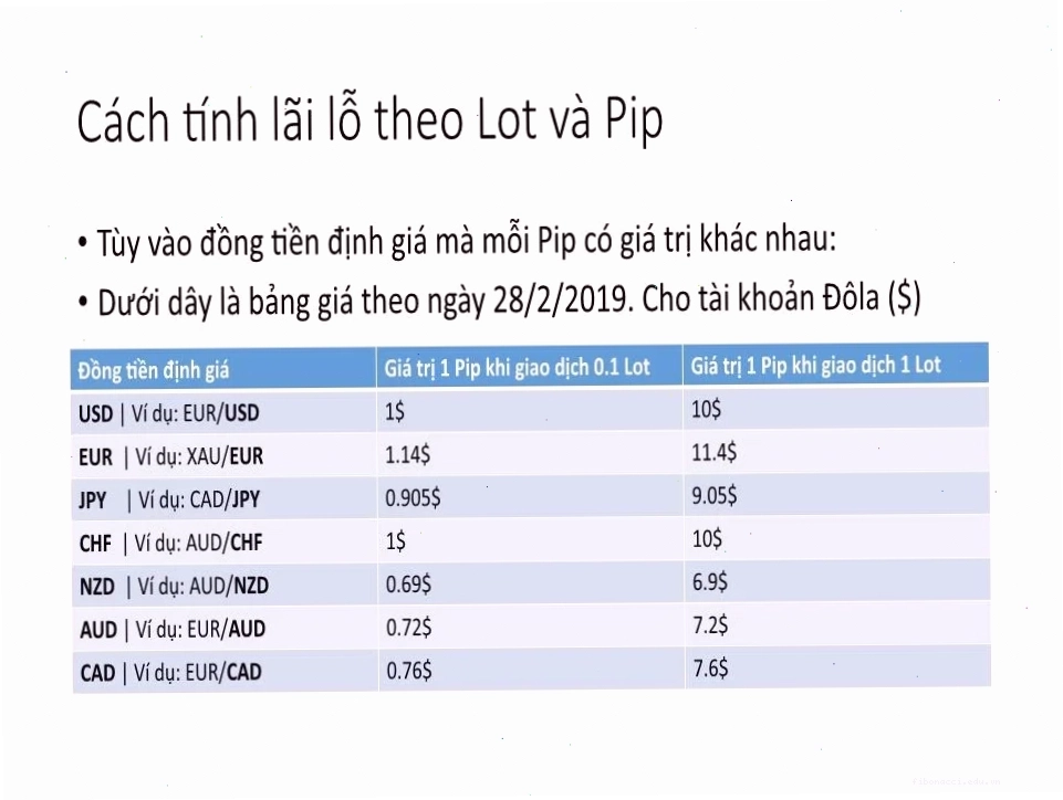 Minh họa cách tính pip trong giao dịch forex