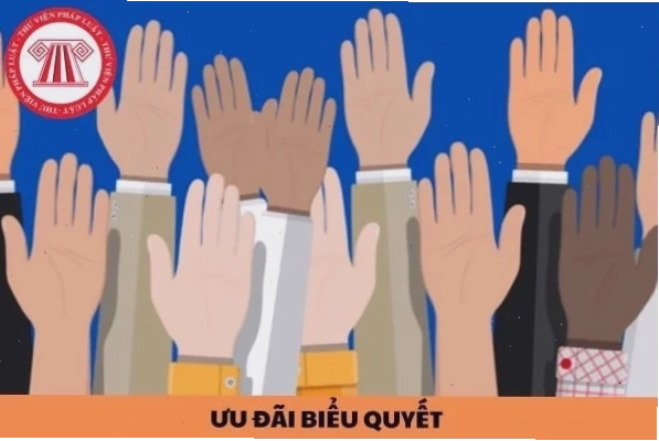 Minh họa cổ phiếu ưu đãi biểu quyết và các loại cổ phiếu khác