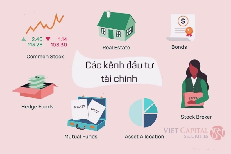 Nên đầu tư chứng khoán vào công ty nào phân tích tài chính minh bạch