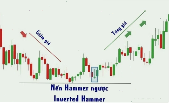 Nến Hammer giảm