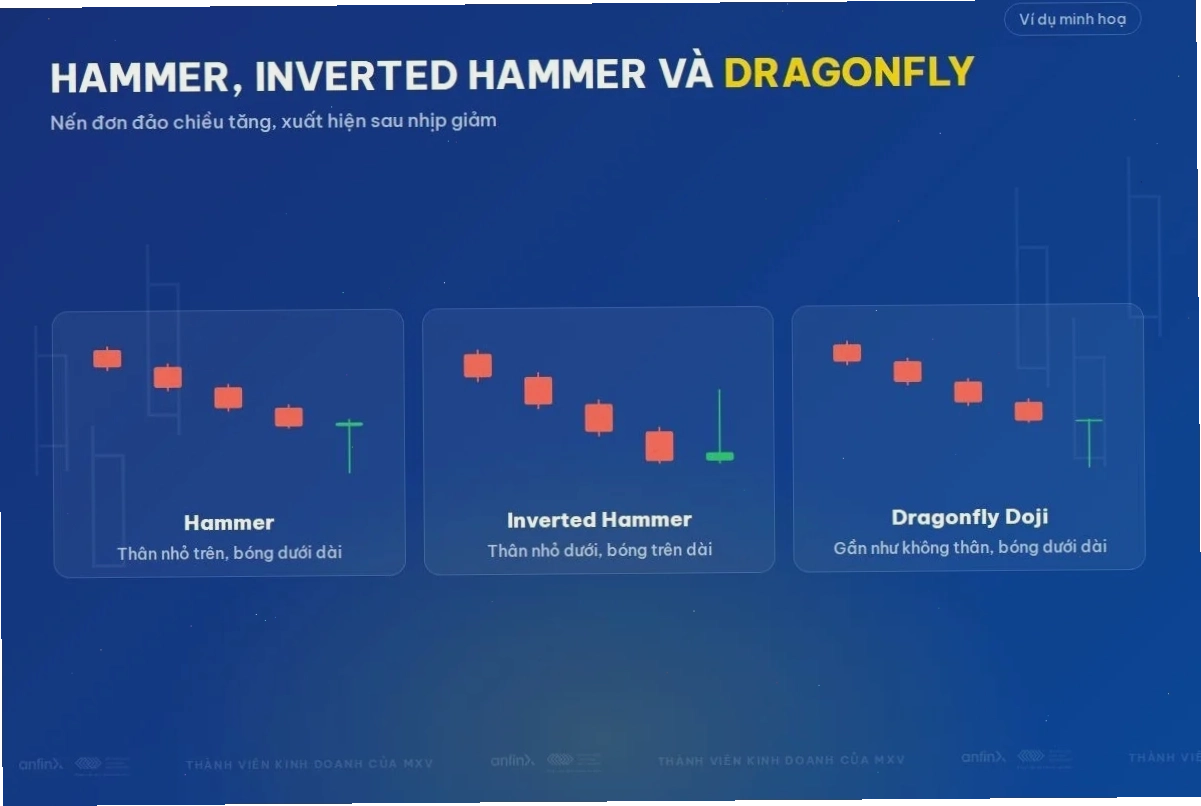 Nến Hammer, Inverted Hammer và Dragonfly Doji
