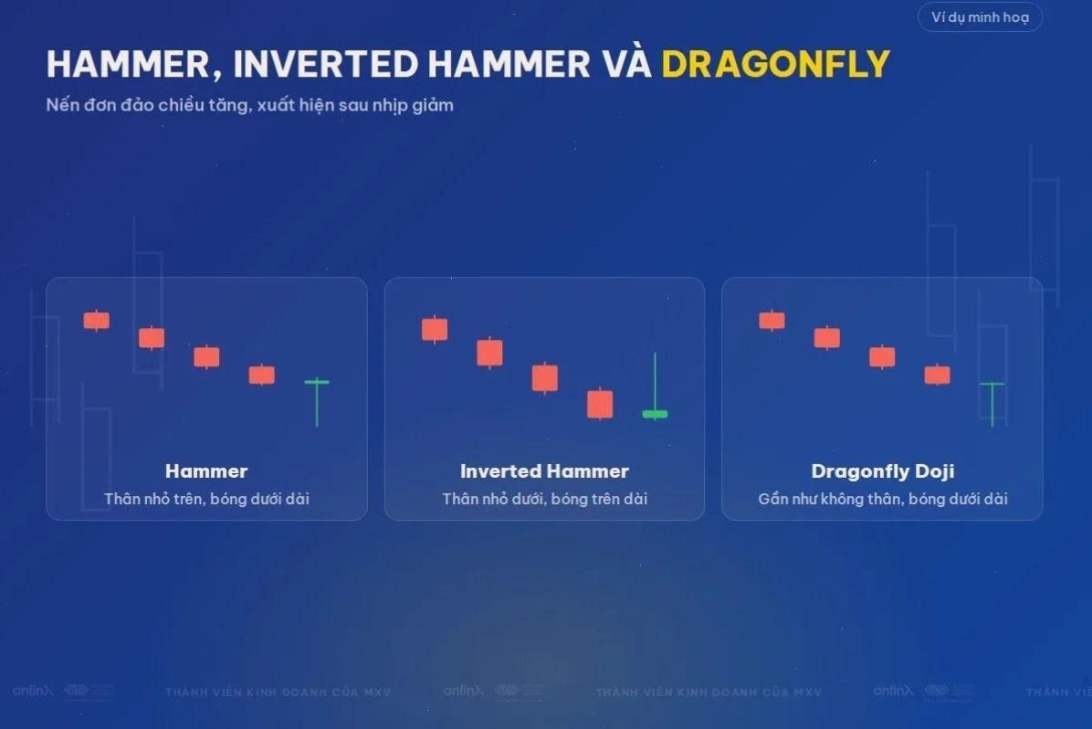 Nến Hammer, Inverted Hammer và Dragonfly Doji: Tín hiệu cảnh báo sớm