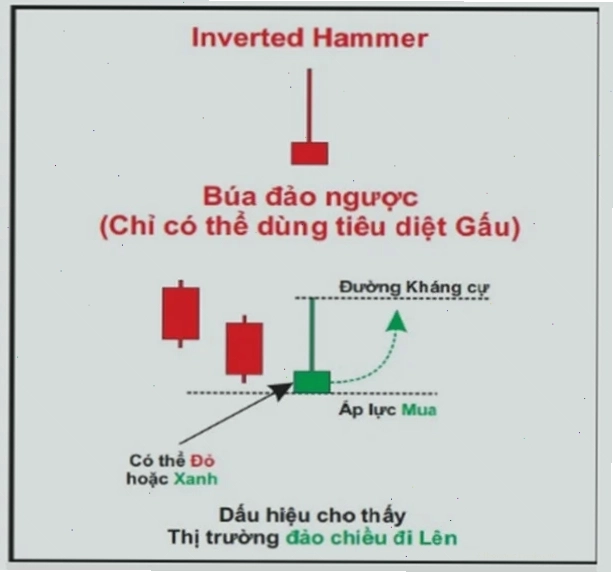 Nến Hammer và Nến tiêu chuẩn