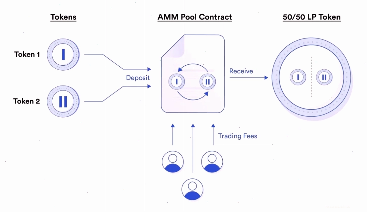 Người dùng nhận LP token khi cung cấp thanh khoản hai chiều cho các hợp đồng AMM pool